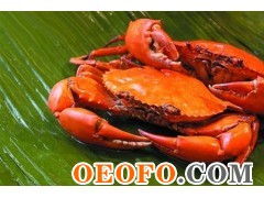 東港市黃海水產品批發市場利源海鮮批發商行 供應優質鮮活梭子蟹與飛蟹，物美價廉