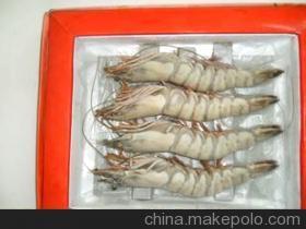 優質鮮活龍蝦與水產批發，廠家直銷保障品質