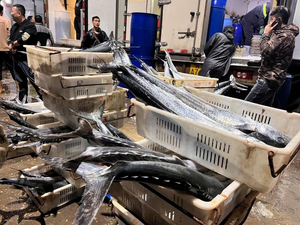 封海前最后一船海鮮抵達城陽水產批發市場，鲅魚仍唱主角